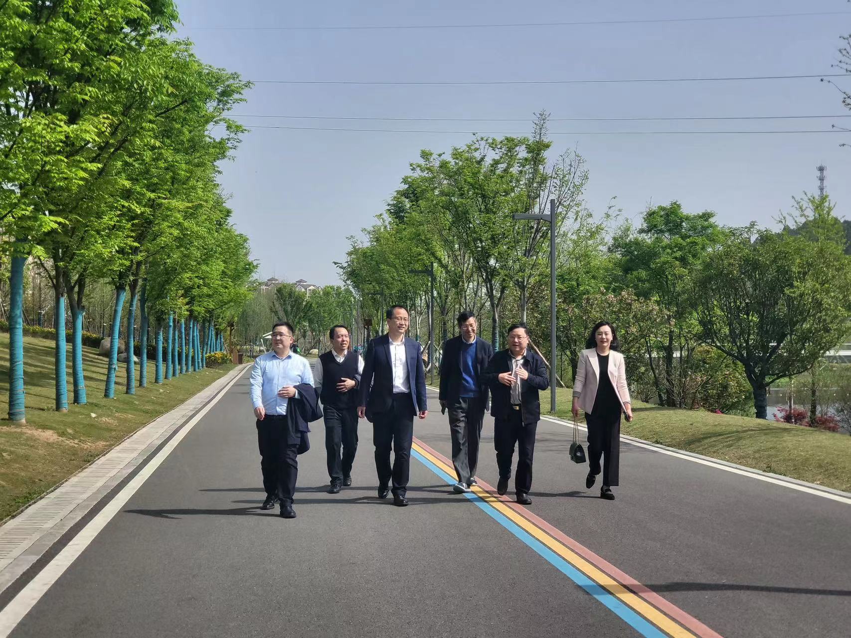 公司主要领导到宜昌沙河项目调研指导 公司主要领导到宜昌沙河项目调研指导