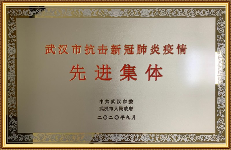 武汉市抗击新冠肺炎疫情先进集体